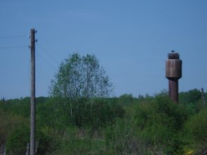 In het Balticum zegeviert het onland