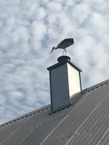 Van pijlooievaar tot Icarus